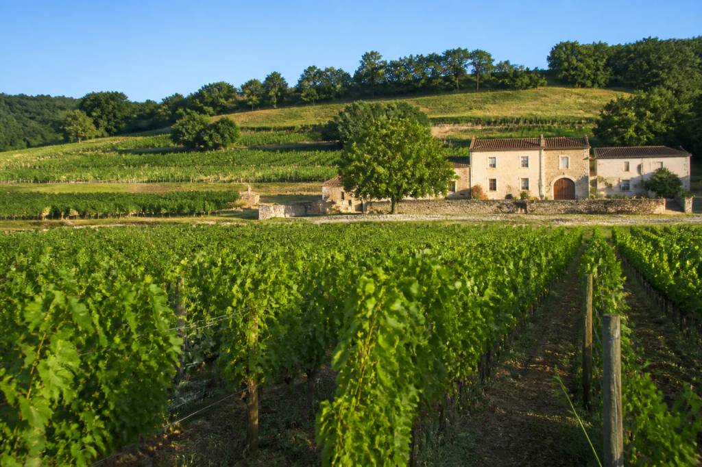 Domaine Michel Joannet : histoire, vins et appellations de Bourgogne Domaine Michel Joannet : histoire, vins et appellations de Bourgogne