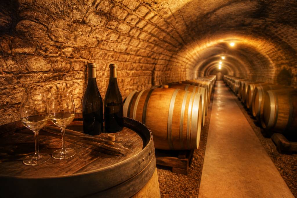 Vénot : l’excellence des vins de Bourgogne à découvrir Vénot : l’excellence des vins de Bourgogne à découvrir