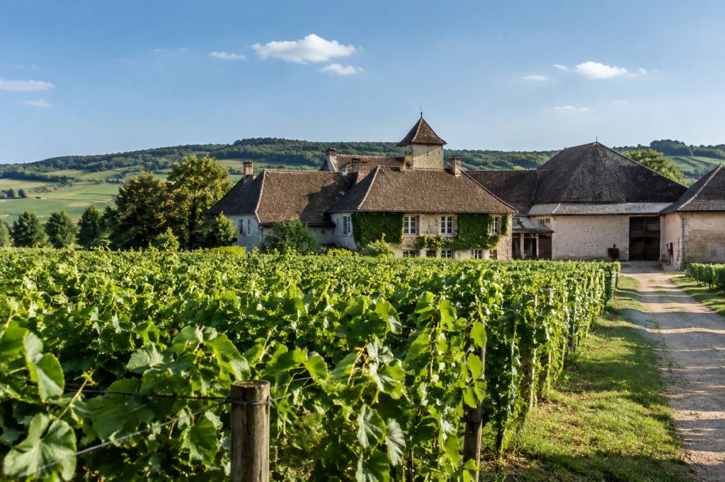 Domaine Danjean Berthoux : histoire, vins et découverte du domaine bourguignon Domaine Danjean Berthoux : histoire, vins et découverte du domaine bourguignon